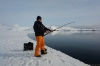 icefish-09-5