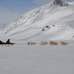 Mit den Hunden durchs Eis