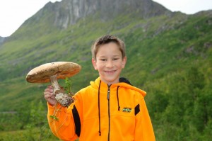 Riesen Steinpilz