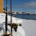 Ansnes